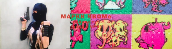сатива Инсар