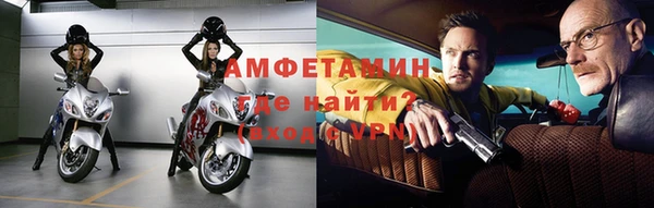 сатива Инсар