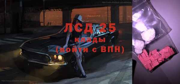 сатива Инсар