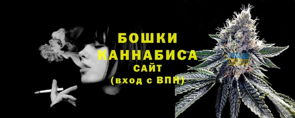 сатива Инсар