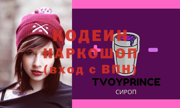 сатива Инсар