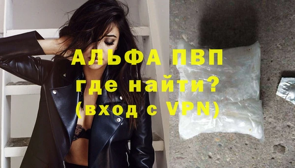 сатива Инсар