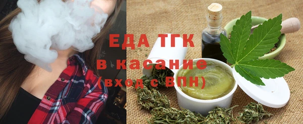 сатива Инсар