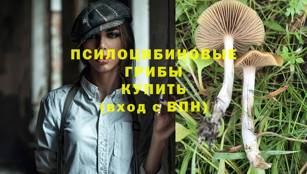 сатива Инсар