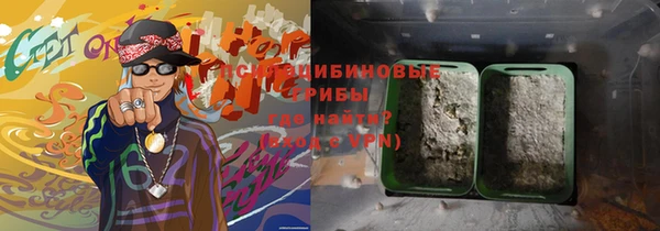 сатива Инсар